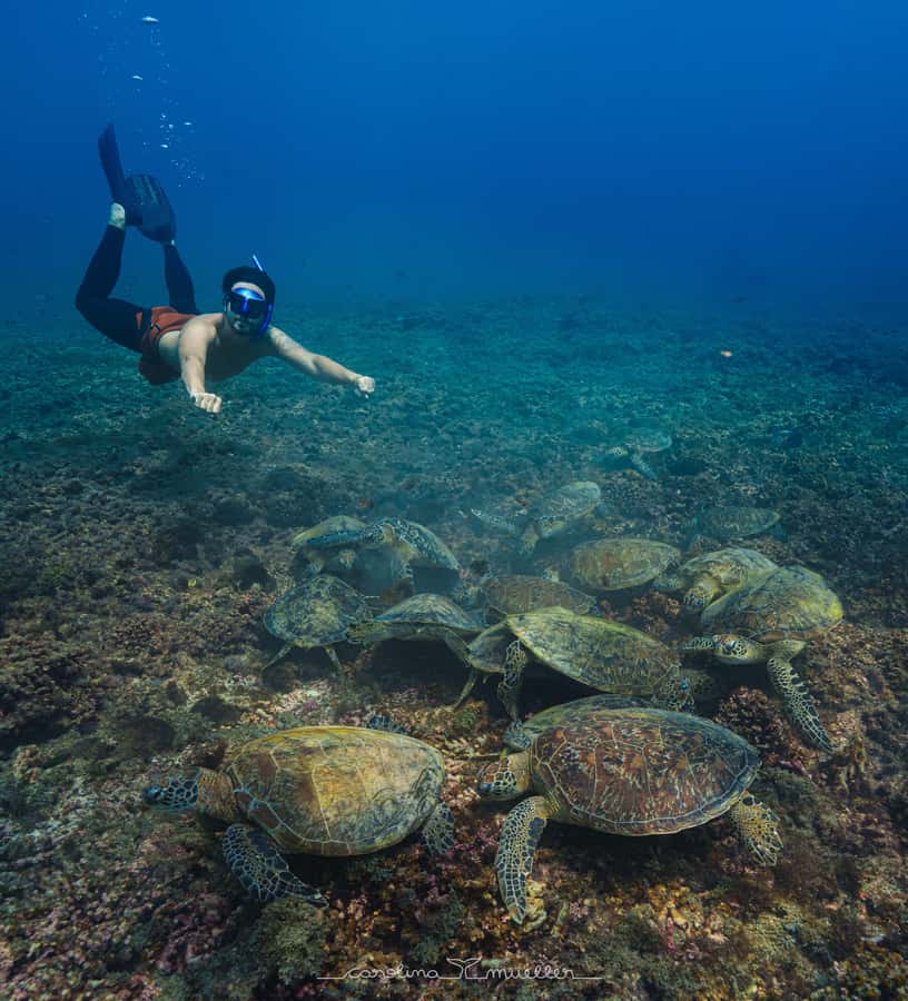 Muscat: Daymaniyat Islands Snorkeling Trip with BBQ Lunch - Why Daymaniyat Islands feels like the real Oman ocean day
