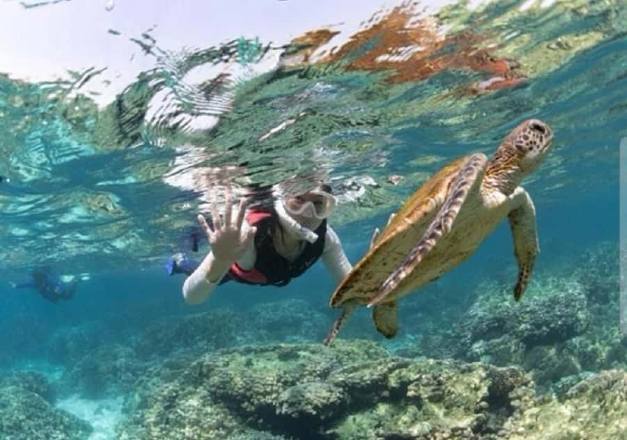 Muscat: Daymaniyat Islands Snorkeling Trip with BBQ Lunch - Two snorkeling stops at Daymaniyat, and how the guides maximize your odds