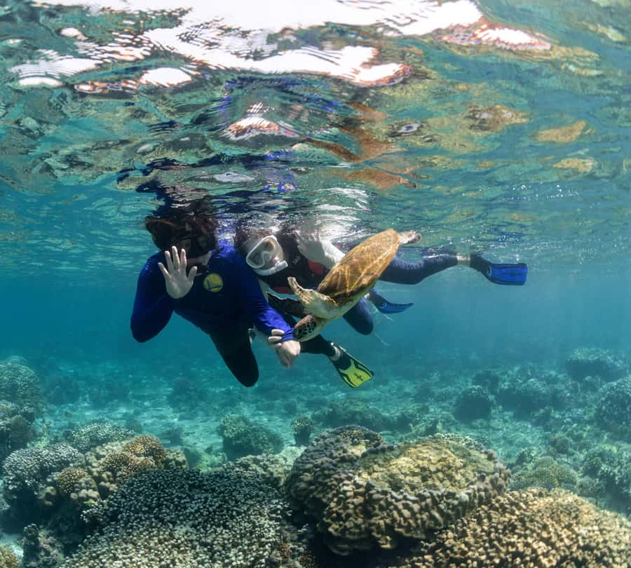 Muscat: Daymaniyat Islands Snorkeling Trip with BBQ Lunch - Safety, gear, and the comfort details that matter more than you think