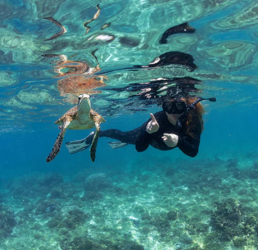 Muscat: Daymaniyat Islands Snorkeling Trip with BBQ Lunch - Should you book MolaMola’s Daymaniyat snorkeling trip?
