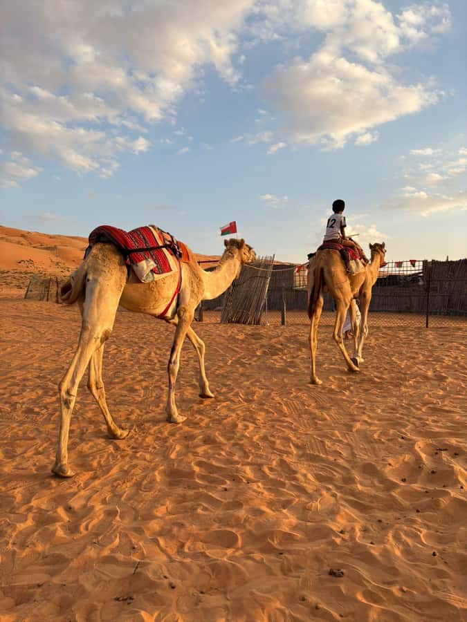 Muscat: Desert Sunset &Wadi Bnai Khalid Full-Day Tour+Lunch - Key points worth your attention