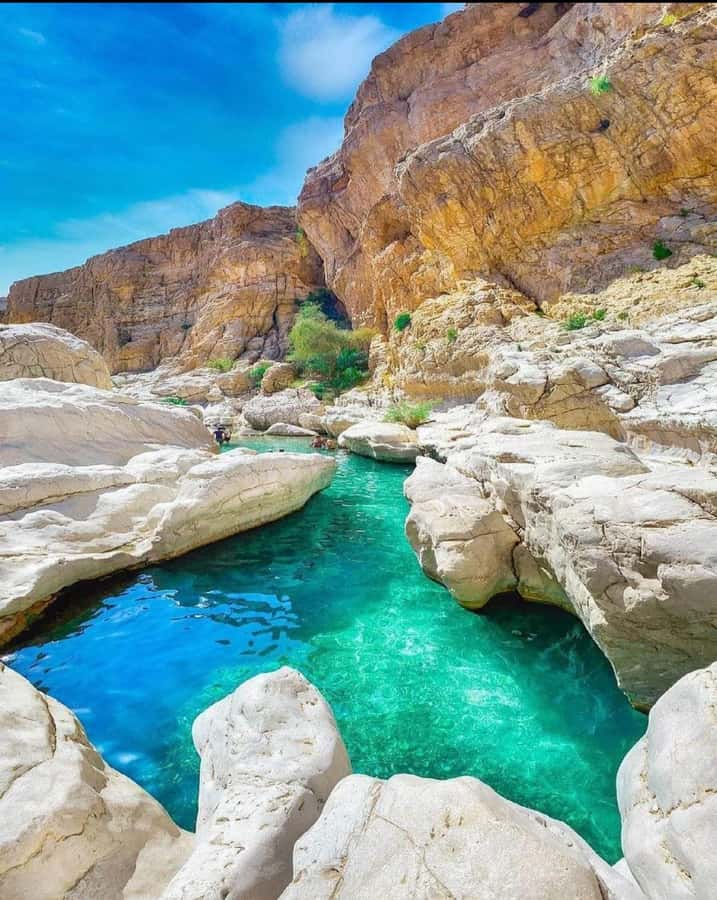 Muscat: Desert Sunset &Wadi Bnai Khalid Full-Day Tour+Lunch - Pickup and Drop Off: Why This Matters More Than You Think