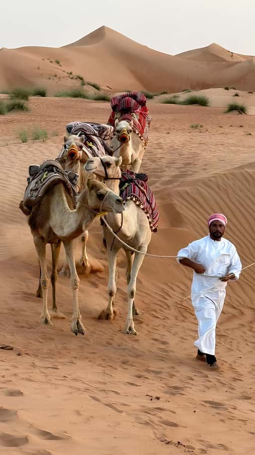 Muscat: Desert & Wadi Bani Khalid Tour with Quad Bike Option - Dune Bashing in a 4WD: Why It Works Even if You Skip Quad