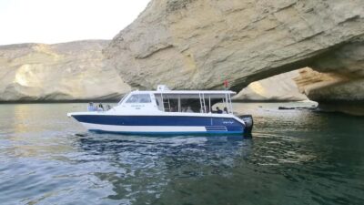 Dolphin Watch & Snorkel Excursion