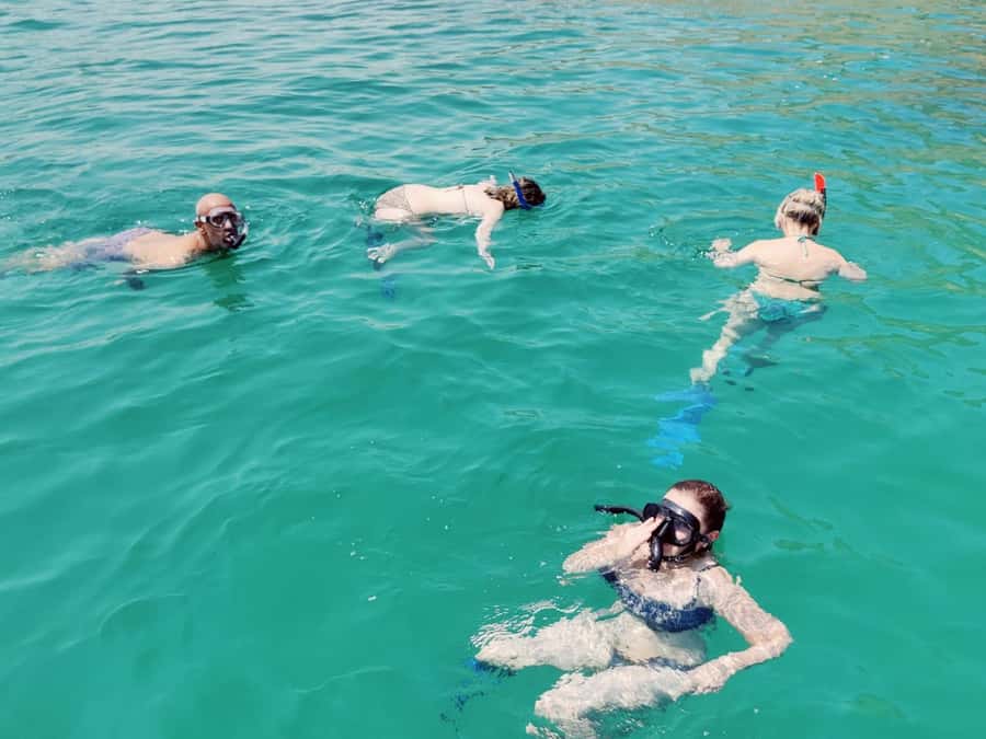 Muscat: Dolphin Watch & Snorkel Excursion - Snorkeling Equipment and Safety: Why the Details Are Not Boring