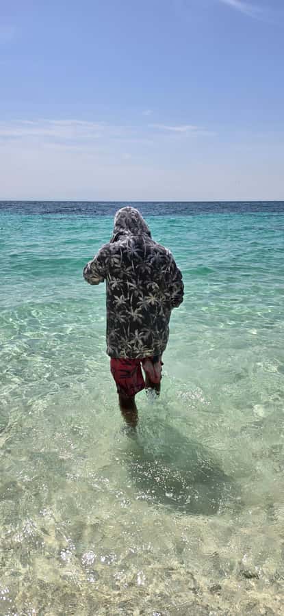 Muscat: Dolphin Watch & Snorkeling - Snorkeling at Bandar Khairan: turtles, fish, and changing visibility