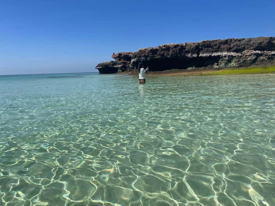 Muscat: Dolphin Watch & Snorkeling - Getting to the water: Marina Bandar Rawda and the Global Scuba check-in