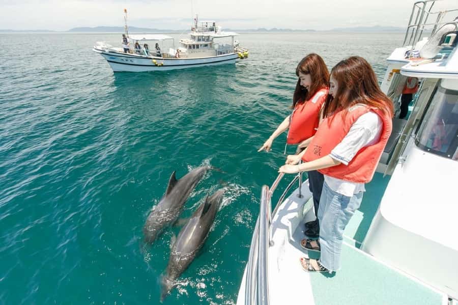 Muscat: Dolphin Watching and Snorkeling Tour - Dolphin Watching and Bandar Khiran Bay: Why This Cruise Works