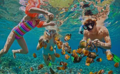 Dolphin Watching and Snorkeling Tour