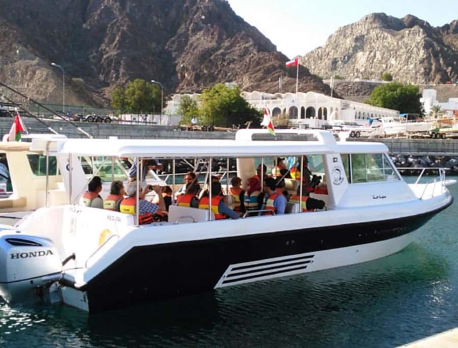 Muscat: Dolphin Watching and Snorkeling Tour - Should You Book This Muscat Dolphin and Snorkeling Tour?