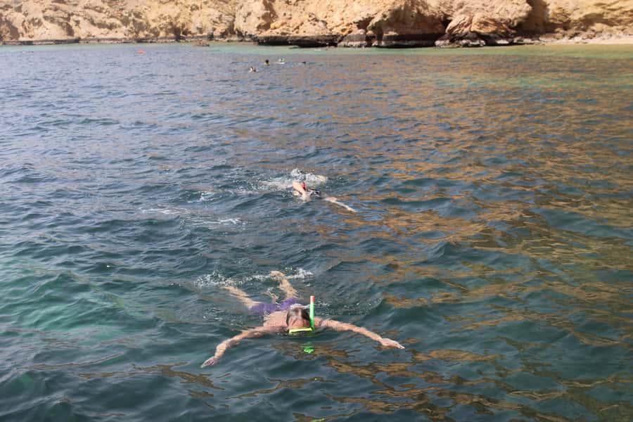 Muscat: Dolphin Watching and Snorkeling Tour By Speed Boat - Why This Muscat Speed-Boat Trip Fits a Real Morning
