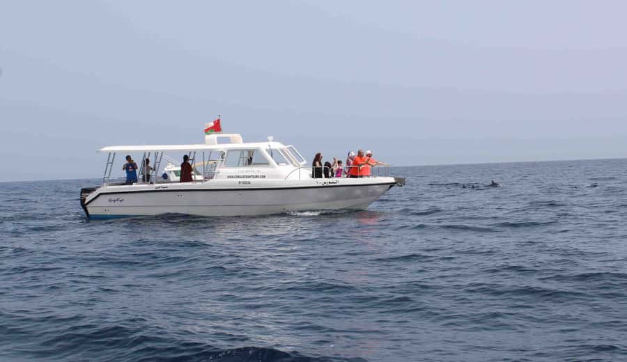 Muscat: Dolphin Watching and Snorkeling Tour By Speed Boat - Getting There: Marina Bandar Al Rowdha Meets Coral Ocean Tours