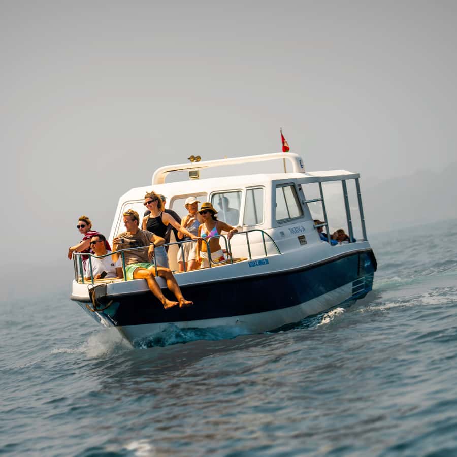 Muscat: Dolphin Watching and Snorkeling Trip - Marina Bandar Al Rowdha: Your Starting Line