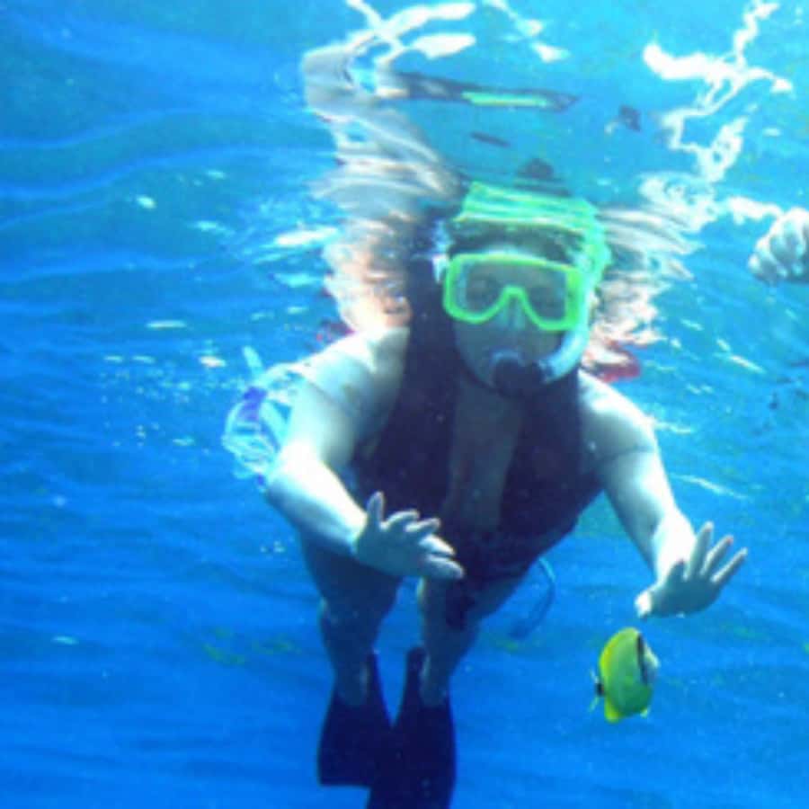 Muscat: Dolphin Watching and Snorkeling Trip - Snorkeling After the Cruise: Gear, Timing, and What You Might See