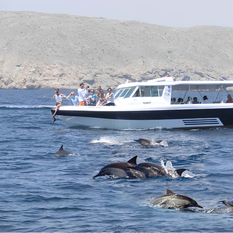 Muscat: Dolphin Watching and Snorkeling Trip - Price and Value: Is $57 a Fair Deal?