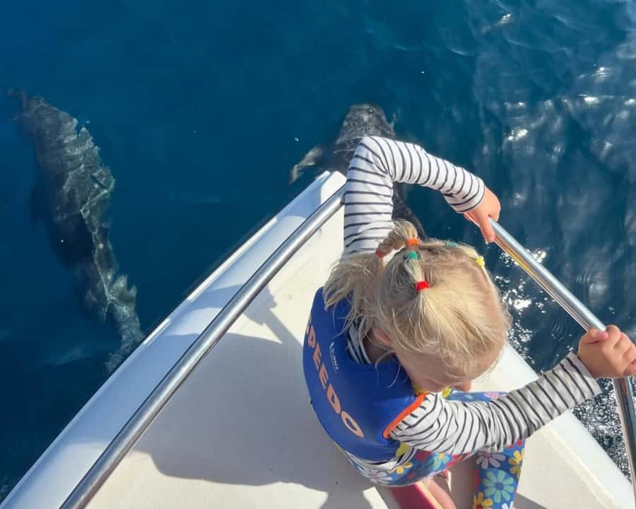 Muscat: Dolphin Watching Boat Amazing Trip - Onboard Comfort: Drinks, Snacks, Life Jackets, and a Toilet