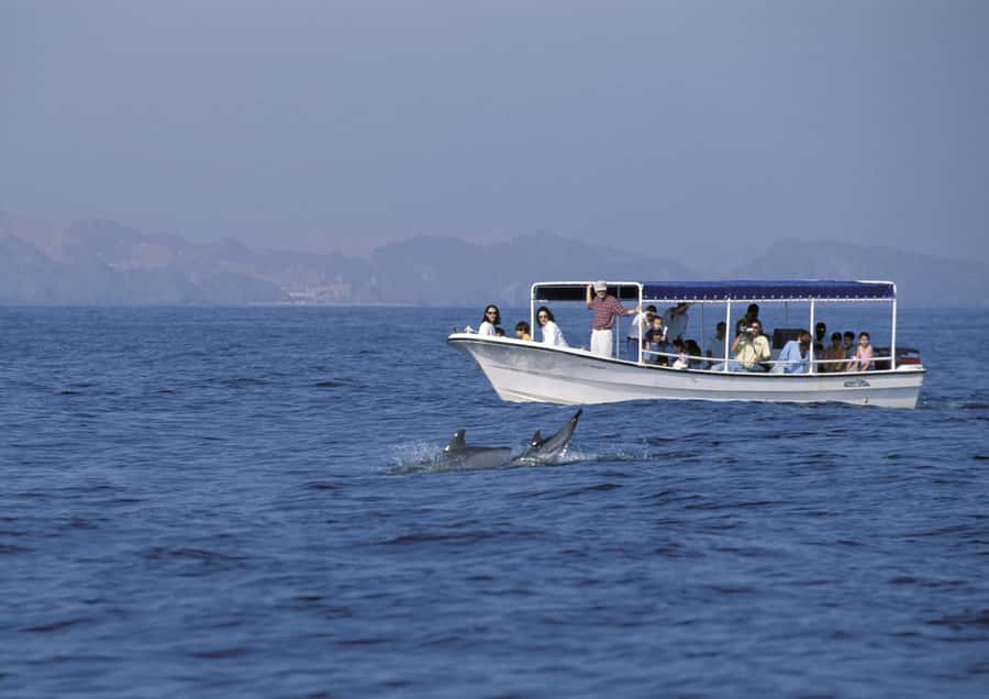 Muscat: Dolphin Watching Boat Amazing Trip - Language and Group Size: Easy for Most Visitors