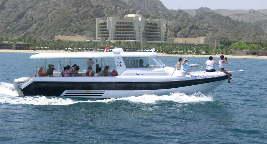 Muscat: Dolphin Watching Boat Amazing Trip - The 2-Hour Cruise Plan (What Happens During the Trip)