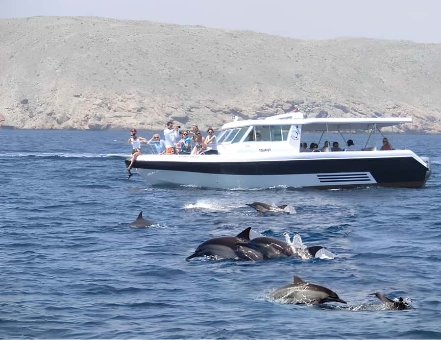 Muscat: Dolphin Watching Boat Trip with Snacks & Local Guide - Dolphin Watching With Arch Rock and Bustan Palace Views in 2 Hours