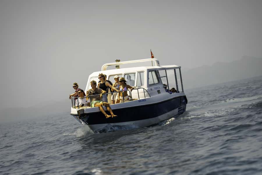 Muscat: Dolphin Watching Boat Trip with Snacks & Local Guide - The 2-Hour Sea Time: What the Journey Feels Like Once You’re Underway