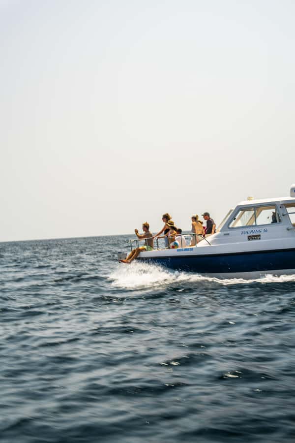 Muscat: Dolphin Watching Boat Trip with Snacks & Local Guide - From Your Hotel to Marina Bandar al Rowdha, Then Back Again