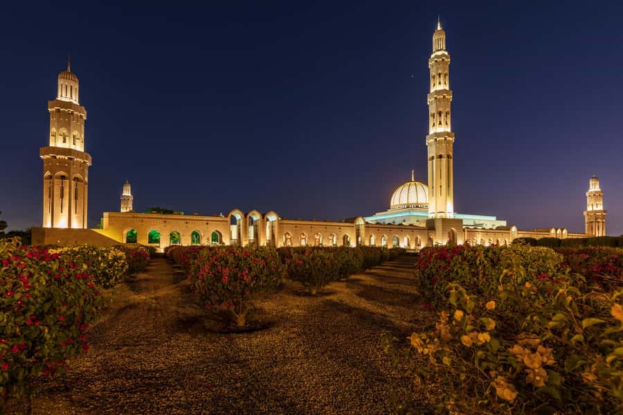 Muscat: Evening Guided City Highlights Tour by Van - Key highlights to know before you go