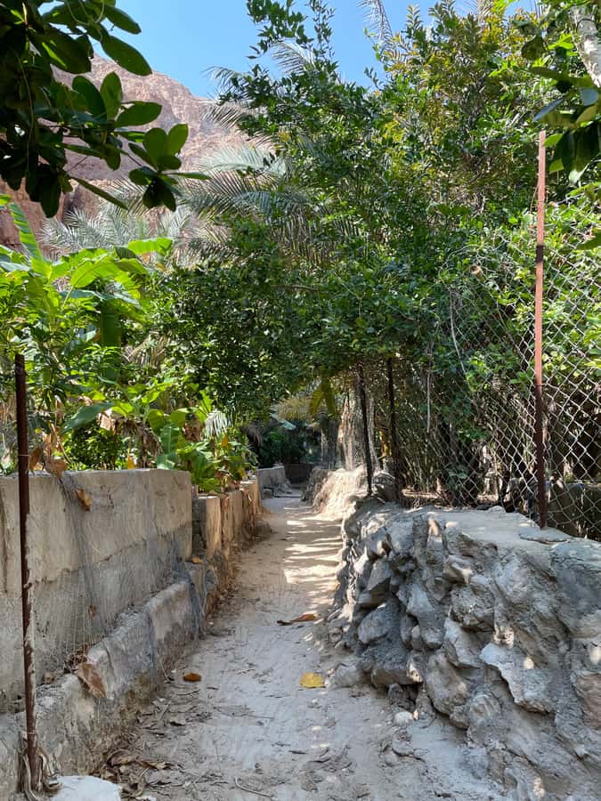Muscat: Full-Day Wadi Shab & Bimmah Sinkhole Private Tour - Why Wadi Shab and Bimmah feel special in one 8-hour loop
