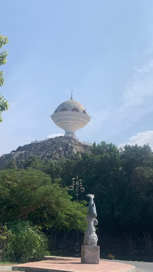 Muscat: Group City Tour with Pickup and Lunch or Dinner - Who this Muscat tour fits best, and who should skip it