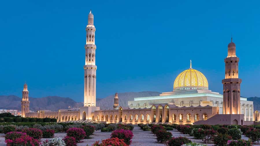 Muscat: Group City Tour with Pickup and Lunch or Dinner - A 5-hour Muscat circuit that actually starts at your door