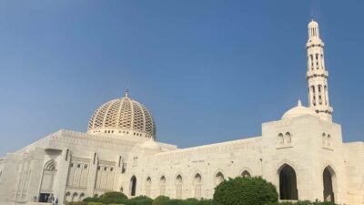 Group City Tour with Pickup and Lunch or Dinner