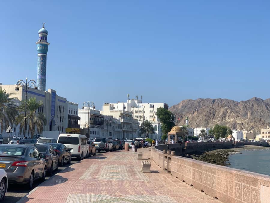 Muscat: Group City Tour with Pickup and Lunch or Dinner - Portuguese fort photo stops, plus optional entries that affect your budget