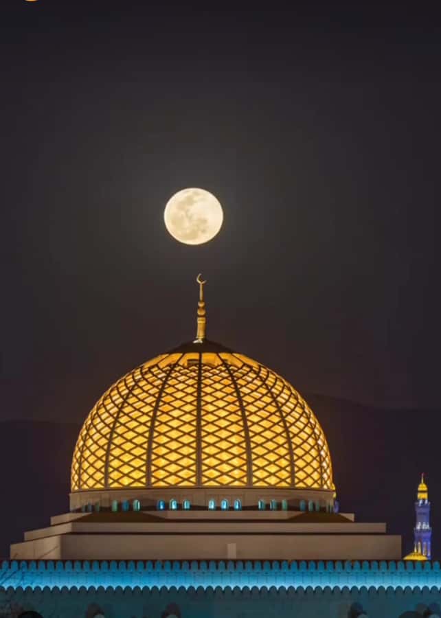 Muscat: Guided Landmarks Tour - Price and Value Check: What $90 Buys You in Muscat