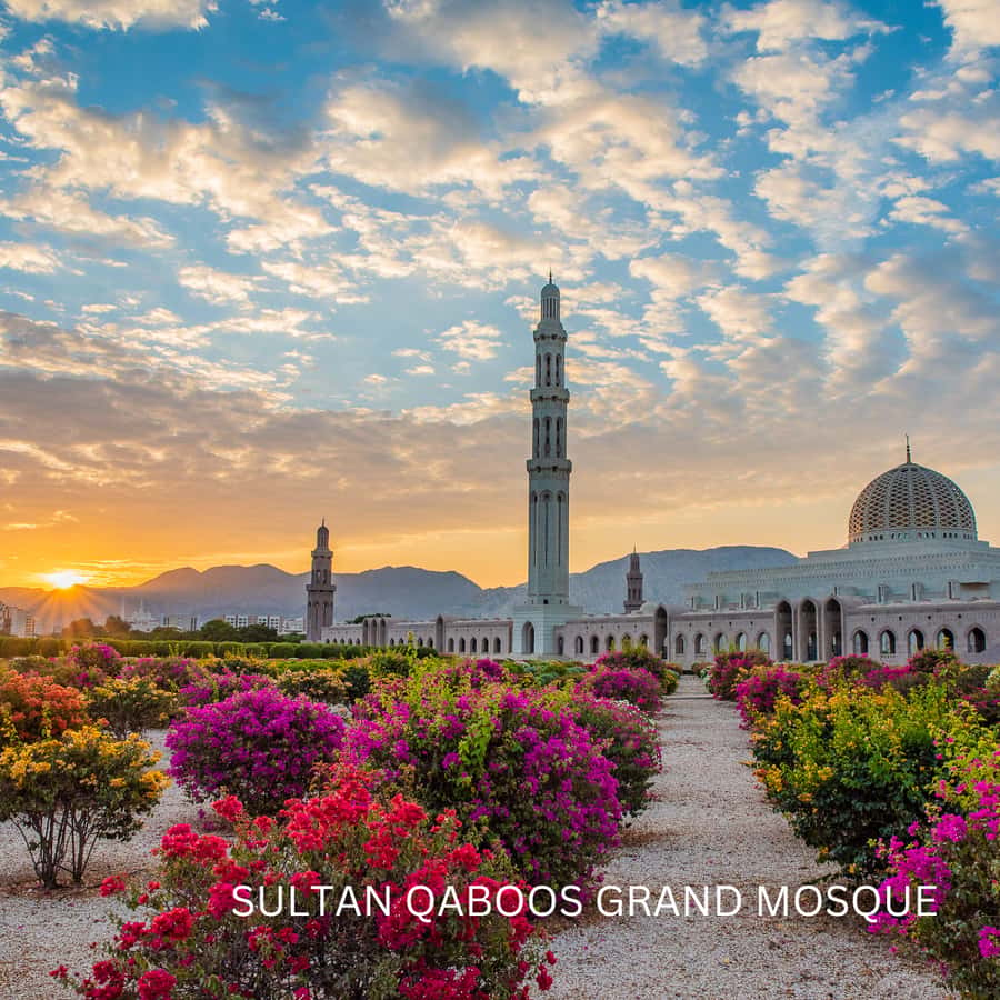 Muscat: Half-Day City Tour - Royal Opera House Muscat, a quick look at modern culture