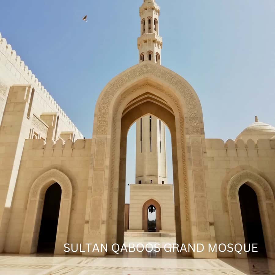 Muscat: Half Day-City Tour - Pickup, private group vibe, and how the guide keeps it moving