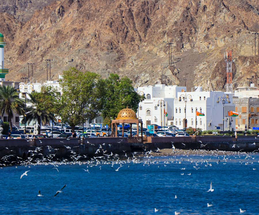 Muscat highlights : Private Muscat City Tour.. - What to wear and bring for Oman, especially for the mosque