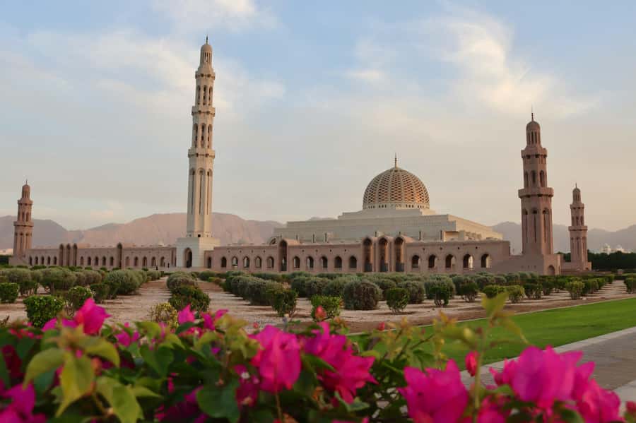 Muscat: Night Tour [ Sightseeing ] - Hotel Pickup, Air-Conditioned Car, and WhatsApp Timing