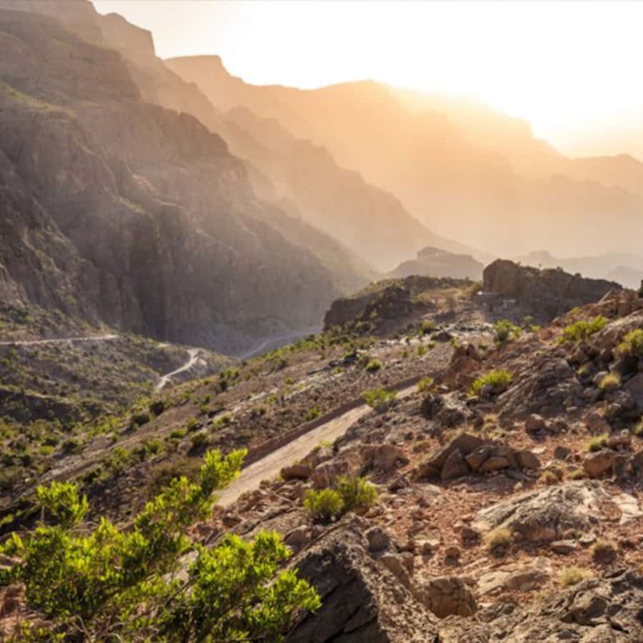 Muscat: Nizwa and Jabal Shams- Full Day Tour - Nizwa Fort: 17th-century tower views you can feel in your legs