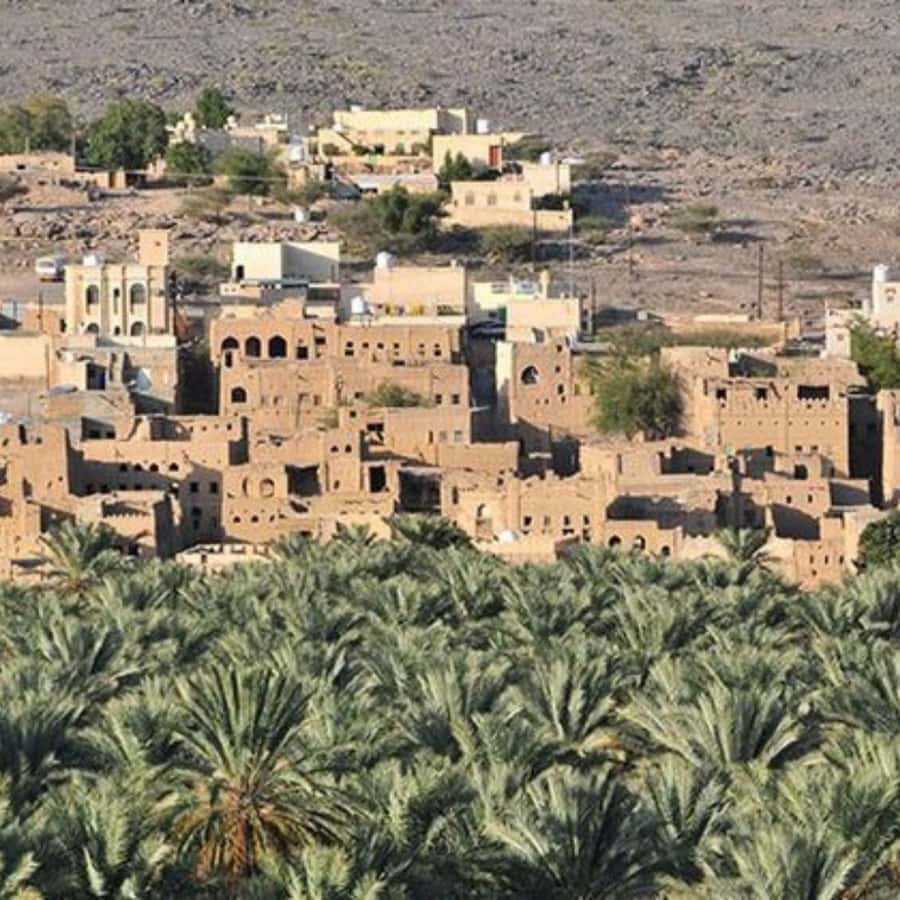 Muscat: Nizwa and Jabal Shams- Full Day Tour - Price and value: what $181 per person buys you