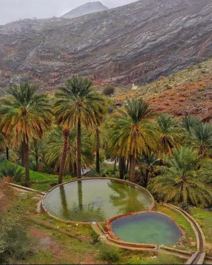 Muscat Oman Grand Canyon, Jebel Shams & Nizwa - Misfah perched on the mountainside: a village stop with built-in views