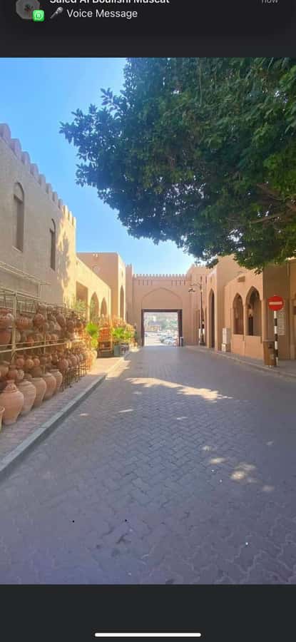 Muscat Oman Grand Canyon, Jebel Shams & Nizwa - Air-conditioned 4WD and an English-speaking guide: the comfort factor
