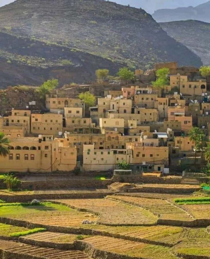 Muscat Oman Grand Canyon, Jebel Shams & Nizwa - Price at $190 per person: does it feel fair?