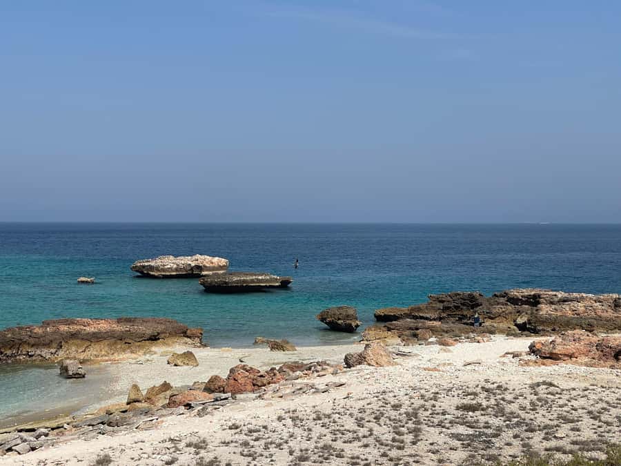 Muscat Oman: Snorkeling adventure to Daymaniyat Island - Key highlights worth planning for