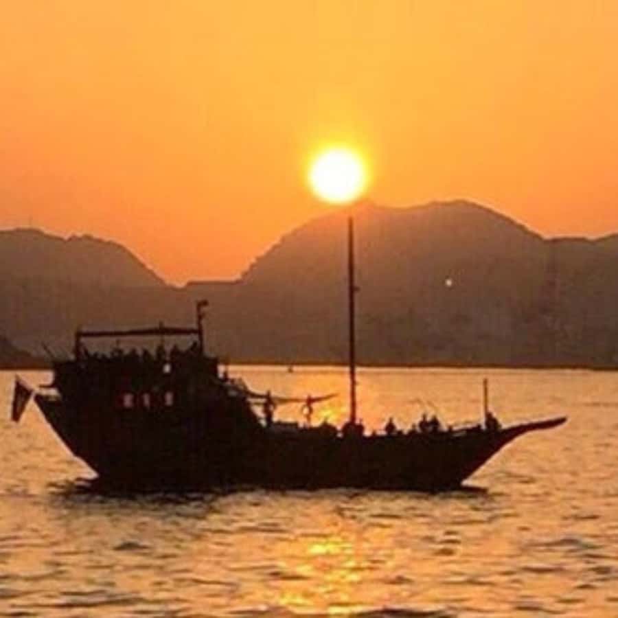 Muscat: Omani Traditional Dhow Sunset Cruise - Who This Cruise Fits Best (and Who Should Skip It)