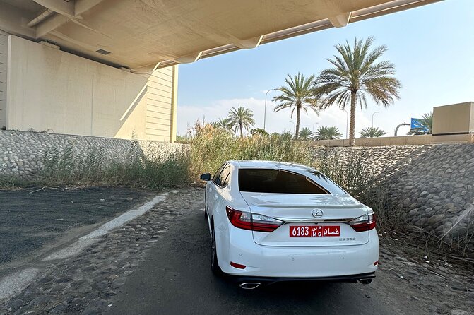 Muscat : private full-day luxury tour inside - Al Alam Palace and Royal Photo Time: How to Make the 30 Minutes Count