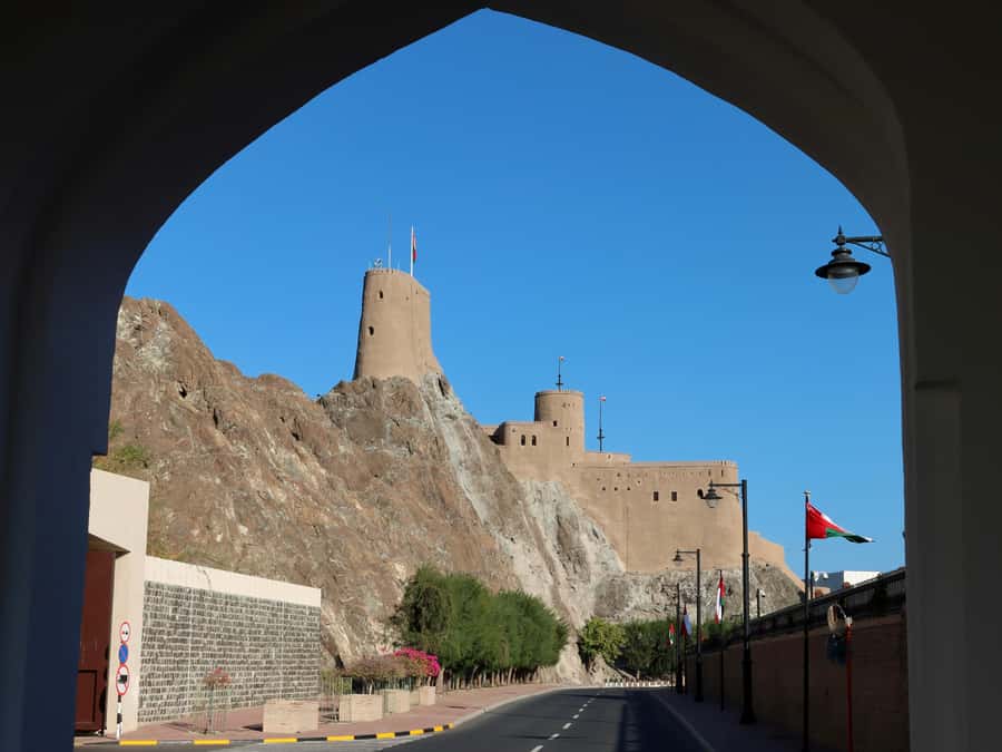 Muscat: Private Sightseeing Tour & Sultan Grand Mosque - National Museum and Omani sweets: the short stop that adds context