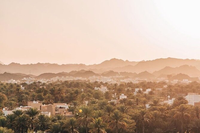 Muscat Shore Excursion: Private Nizwa Day Trip - Nizwa Souq browsing: silver, rugs, and antiques with breathing room