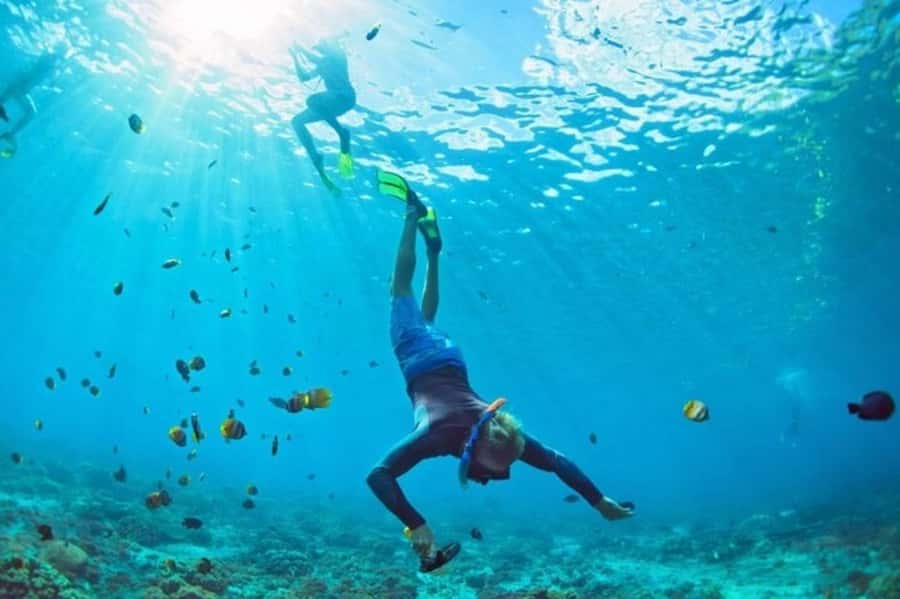 Muscat: Snorkeling and Dolphin Watching Tour - Value for $50: What You Actually Get