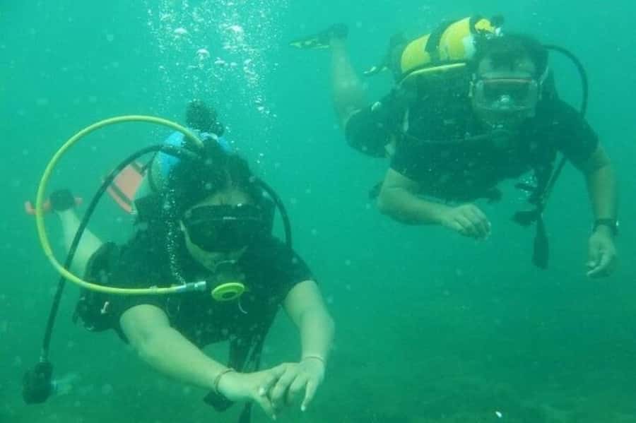 Muscat: Snorkeling and Dolphin Watching Tour - The Not-So-Perfect Side: When Short Tours Can Go Off Track