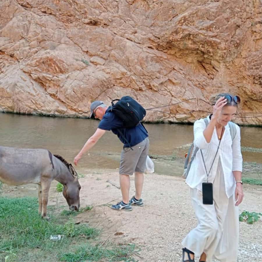 Muscat: Southern Treasures & Wadi Shab Tour with Audio Guide - Finns white sand photo stop, a short coastal breather