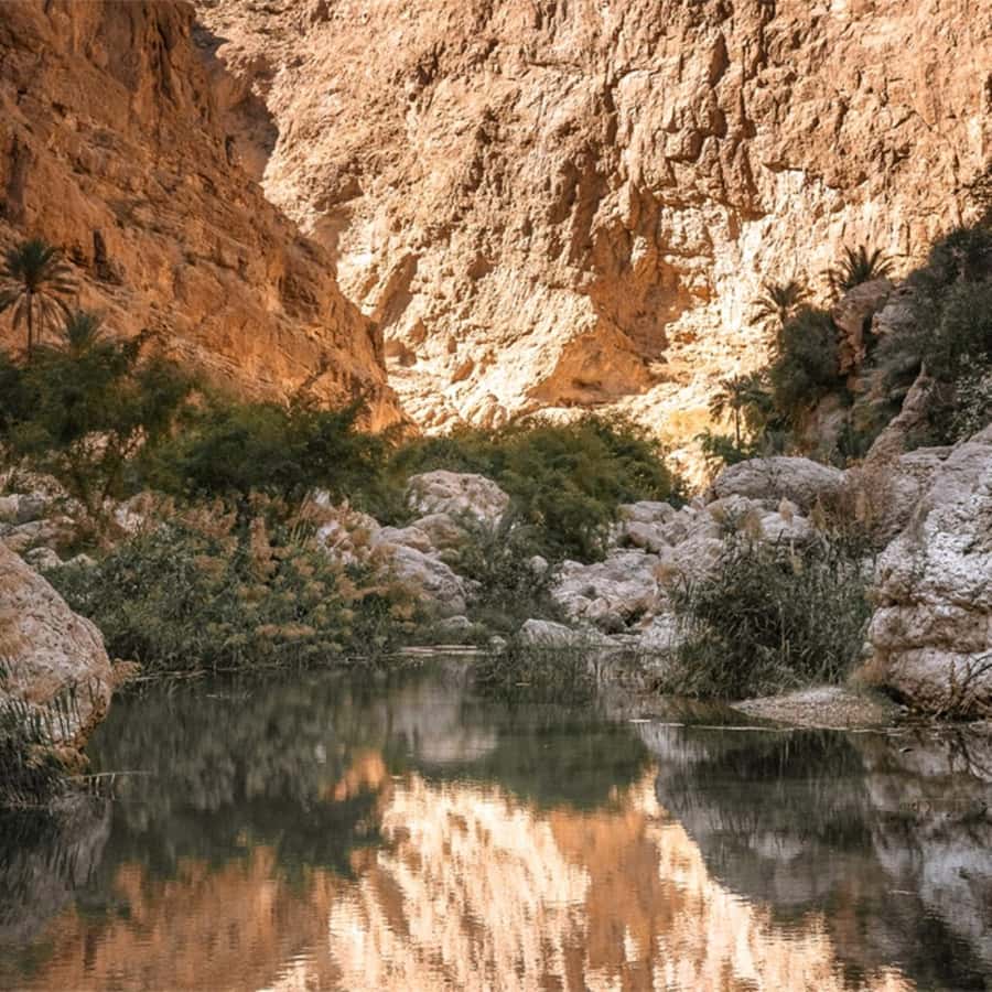 Muscat: Southern Treasures & Wadi Shab Tour with Audio Guide - GPS audio in 5 languages, what you actually learn on this route